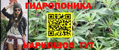 ПСИЛОЦИБИНОВЫЕ ГРИБЫ Партизанск