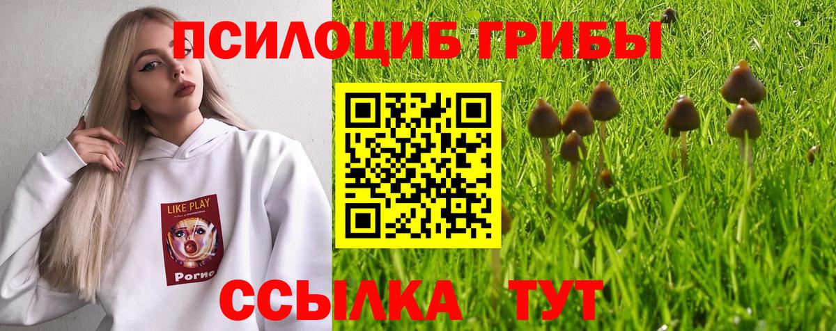 Галлюциногенные грибы мицелий  Вход с VPN  Галлюциногенные грибы мицелий  Советская Гавань 